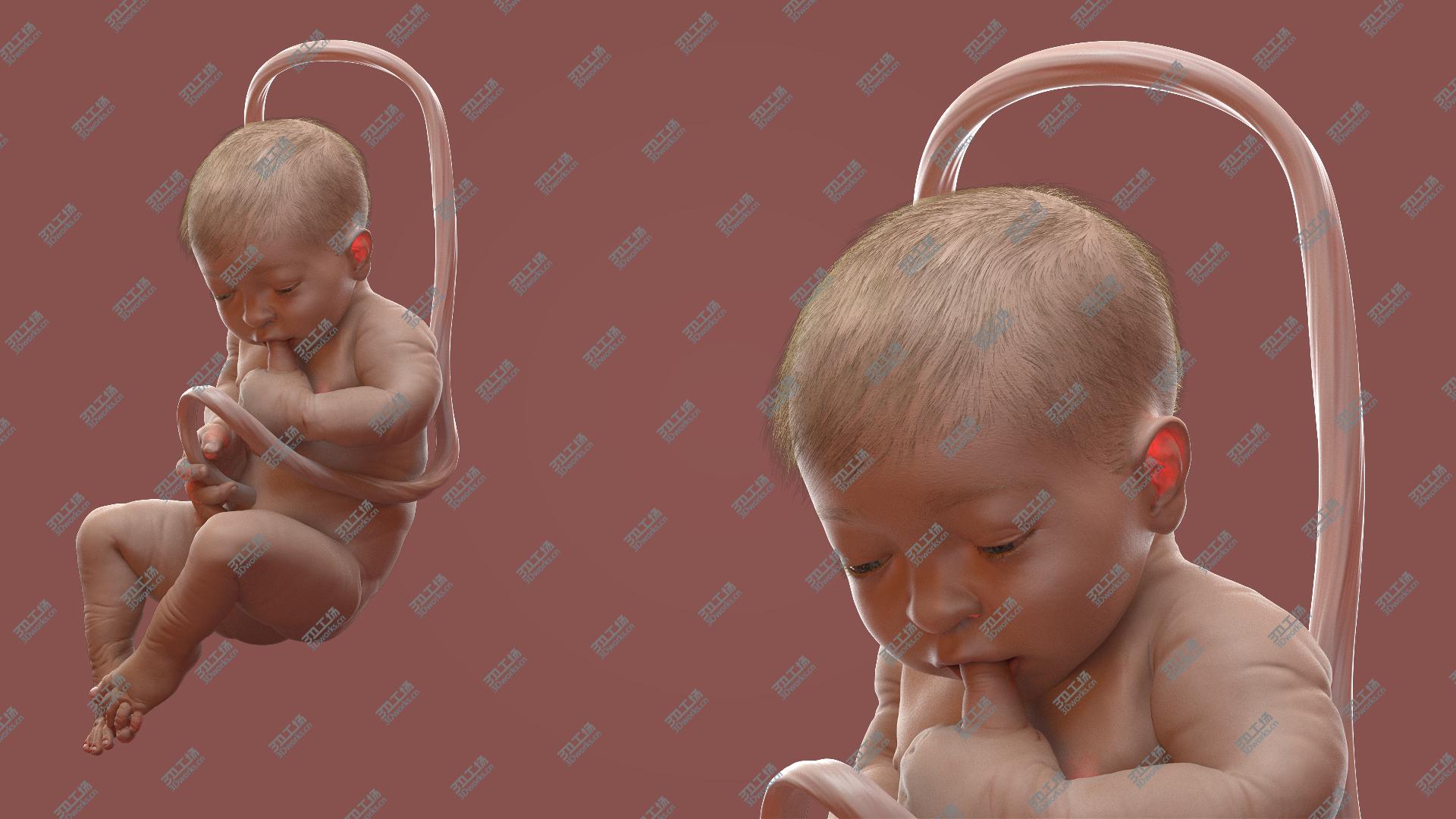 images/goods_img/202104091/Baby Boy at 38 Weeks Fur 3D model/2.jpg